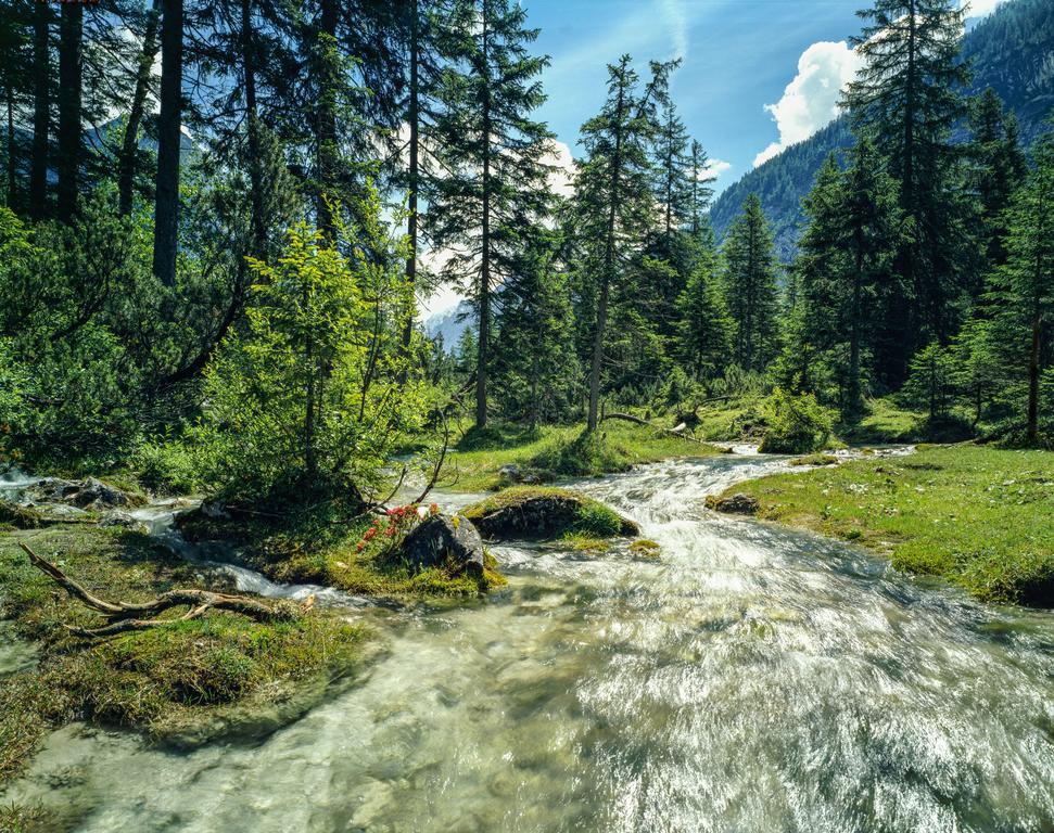 Hotel Laerchenhof Natur Seefeld in Tirol Exterior foto